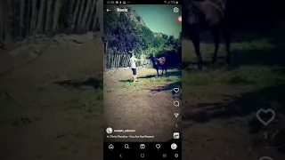 На лошади )On a horse