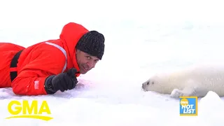 ‘GMA’ Hot List: ABC’s TJ Holmes gets up close with an adorable harp seal pup