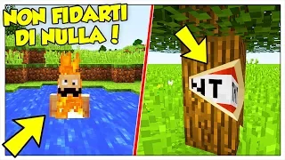 E SE TUTTO MINECRAFT FOSSE UN TROLL?