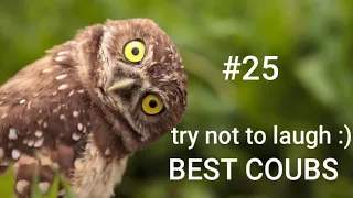 Best Animals Coub #25-СМЕШНЫЕ ЖИВОТНЫЕ 2022-ТОПовая подборка-Funny Animals Videos Compilation 2022