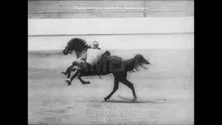 Circassian Dzhigits Perform Amazing Equestrian Manoeuvres
