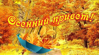 Осенний привет! Красивое видео!  Осени вам золотой, счастливой, мирной!