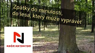 Detektor kovů - Zpátky do minulosti, do lesa, který může vyprávět