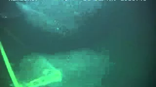 Sperm Whale - 3000 Meters Depth Record