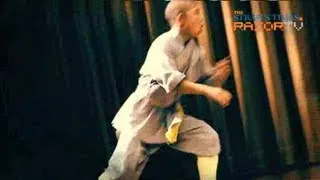 Shaolin kungfu display (Samsara-The Shaolin Legacy Pt 3)