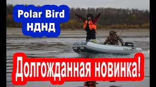 Надувная лодка ПВХ НДНД под мотор, обзор новинки Polar Bird.  Рыбалка на спиннинг с лодки.