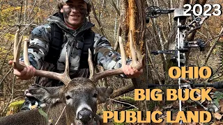 Ohio Public Land Archery Buck 2023