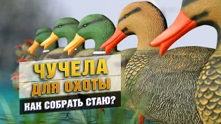 ЧУЧЕЛА ДЛЯ ОХОТЫ. Как собрать свою стаю? Как выбрать? Сколько нужно?