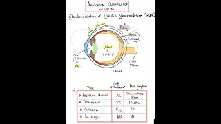 Anatomical Classification of Uveitis #Shorts