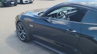 2019 Mustang GT PP2 Walkaround