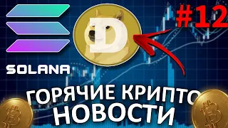 АЛЬТКОИНЫ DOGECOIN И SOLANA РАСТУТ НА ФОНЕ ЗАЯВЛЕНИЙ ИЛОНА МАСКА - КРИПТО НОВОСТИ