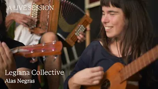 Legiana Collective - Alas Negras acoustic live session at de Lievelinge by Dusk Sounds