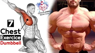 DUMBBELL Chest Exercises Workouts - Massive