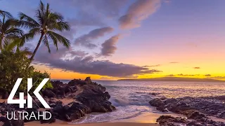 Perfect Sunset - 8 HOURS Calming Sounds of Ocean Waves on Tropical Beach