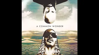 A Common Wonder - Living For The Chi-City (Prod. Amerigo Gazaway)