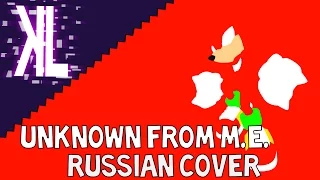 Unknown from M.E. (Sonic Adventure) - Russian Cover