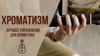 Упражнения для развития техники левой руки. Уроки для начинающих гитаристов