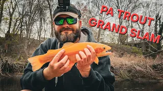 The Pennsylvania Trout Grand Slam (Brook Trout, Brown Trout, Rainbow Trout & Golden Rainbow Trout)