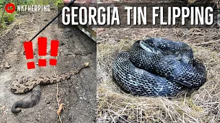 My Best Day of the Year? Fantastic Tin Flipping for Snakes in North Georgia!