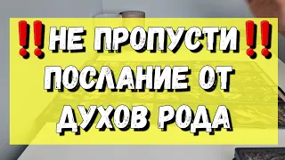 Важное сообщение от рода по материнской и отцовской линии‼️ расклад таро