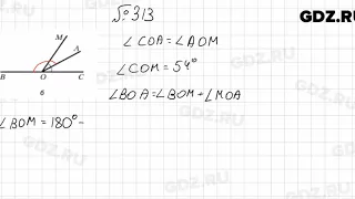 № 313 - Математика 5 класс Мерзляк