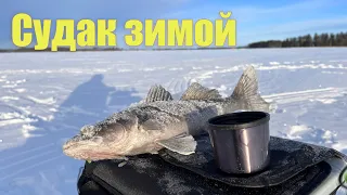 За судаками. Зимняя рыбалка в Финляндии. Panoptix Livescope.