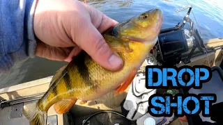 Drop Shots for February Perch!! Open Water!! (Mississippi River Fishing)
