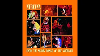 Nirva̲n̲a̲ - From the Muddy Banks of the Wishkah (full album)