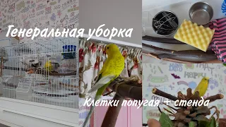 Генеральная уборка клетки попугая