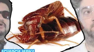 Female Insect Discovered with a Penis! WN sjn033