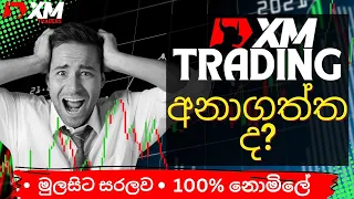 XM Trading for Beginners 2023 | XM Trading Sinhala | Earn Money Without Deposit