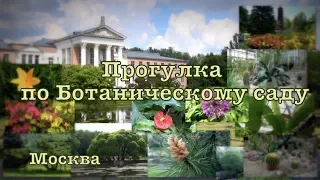 Прогулка по Ботаническому саду.🌴 Москва Главный Ботанический сад РАН им. Н.В. Цицина