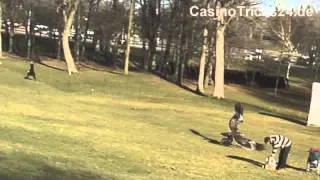 Golden Eagle Snatches Kid - Adler packt Kind im Park [Video]