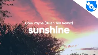 Liam Payne - Sunshine (Lyrics) (From the Motion Picture “Ron’s Gone Wrong”) (Billen Ted Remix)