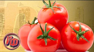 ПОМИДОР: КАК ПОЯВИЛИСЬ ПОМИДОРЫ! Интересные факты о помидорах!