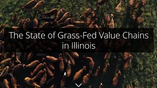 The State of Grass Fed Value Chains in Illinois