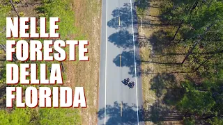 COAST TO COAST #16 - COCCODRILLI CONGELATI E FORESTE: 450km NEL CUORE DELLA FLORIDA