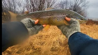 Early Season Trout Fishing for Big Trout at a Small Ny Stream