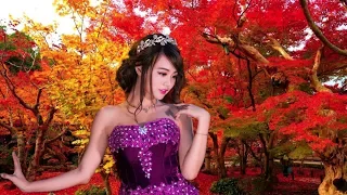 みじかくも美しく燃え _ Contigo Mi Vida(Piano Concerto 21) _ Paul Mauriat _ ポール・モーリア・グランド・オーケストラ