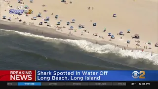 Possible Shark Sighting Off Long Beach