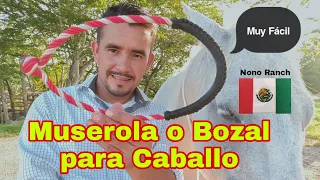 COMO HACER UNA MUSEROLA O BOZAL PARA CABALLO