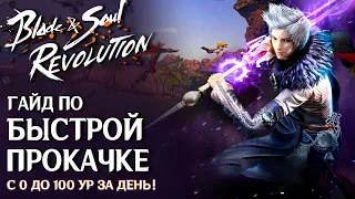Blade & Soul Revolution - Leveling Guide. From zero to level 100 per day. 