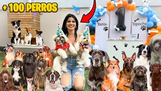 INVITÉ 100 PERROS a la FIESTA DE CUMPLEAÑOS de MIS PERRITOS BEBÉS!!