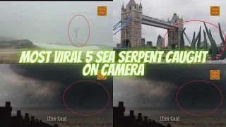 Most Viral 5 SEA SERPENT CAUGHT ON CAMERA | Too Cool | Bangladesh