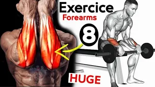 Forearms Exercise Tier List (Simplified)@trainerwinny