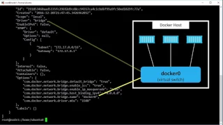 Bridge Networking for Single Host Container Networking