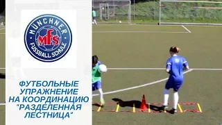 Футбольные упражнения на координацию РАЗДЕЛЕННАЯ ЛЕСТНИЦА