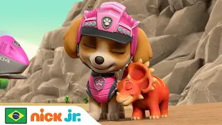 Patrulha Canina | Dinossauros Bebês Perdidos Precisam Ser Resgatados | Nick Jr. em Português