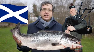 How Smoked Salmon Is Destroying Our minds | George Monbiot