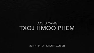 Txoj Hmoo Phem - David Yang (short cover)